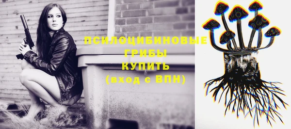 первитин Алексеевка