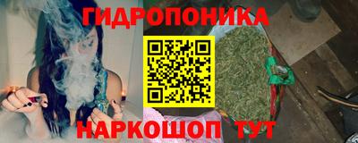 индика Балахна