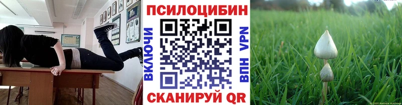 купить наркотик  Аша  Галлюциногенные грибы мицелий 