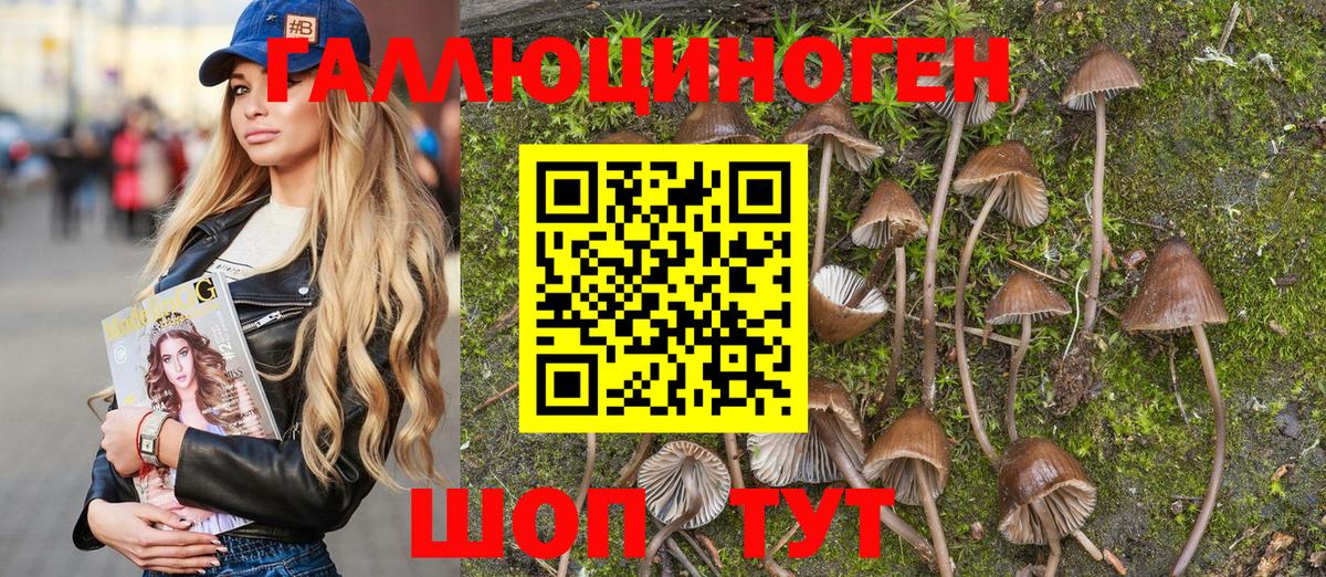 Галлюциногенные грибы GOLDEN TEACHER  Аша 