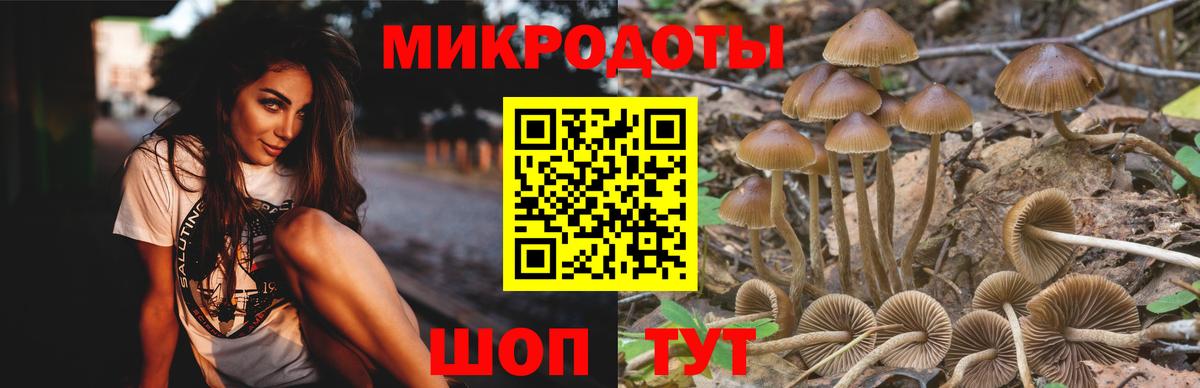 Аша  Галлюциногенные грибы Psilocybe  Вход с VPN 